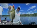 Largemouth Bass on Deep Weedlines Park Rapids Minnesota