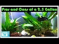 2 5 Gallon Fish Tank Pros and Cons Should You Buy a 2 5 Gallon Fish Tank