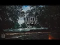 Download Lagu Lyla - Turis (Lirik)