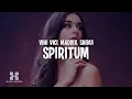 Download Lagu Vini Vici x Maddix x Shibui - Spiritum