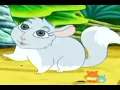 Go Diego Go Baby Chinchilla Chinta Deviantart 2020