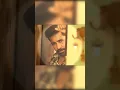 Download Lagu Vijay Antony Suspense \u0026 thriller kolaigaran movie review