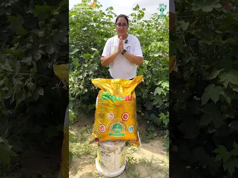 Gromor GroPlus by Coromandel International Limited | DAP khad ki jagah kya dalen #farming