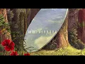Antdot -  Reflections