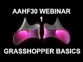 Webinar AAHF30 - Grasshopper for Beginners day 1