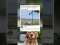 Florida man found the most Florida way to fight surveillance