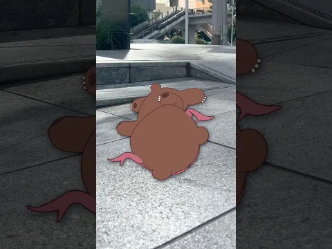 クマリンのずっこけオバケ体験🐻👻#shorts #funny