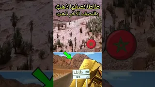 طاطا ذهب قرية ثروة سيول 