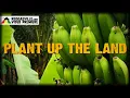 Download Lagu Indra - Plant Up The Land [Official Video 2023]