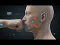 How a fist hits a dumb jaw