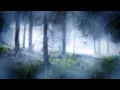 Download Lagu RAIN IN THE WOODS SLEEP SOUNDS | Nature's White Noise For Relaxation, Studying or Sleep | 10 Hours