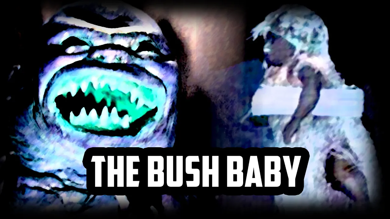 The BUSH BABY | Nigerian Urban Legend