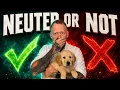 Does Neutering Your Dog Help