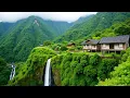 Download Lagu Soothing music for nerves🌿Healing Music to Relieve Stress, Fatigue, Depression  #1