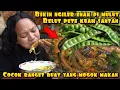 Download Lagu BELUT PETE SANTAN KUAH PEDAS BIKIN NGILER