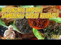DAGINGNYA EMPUK!! SAMBELNYA GURIH NIKMAT!! AYAM BAKAR SAMBALADO THANASYA!!