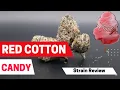 RED COTTON CANDY By Powerline STRAIN REVIEW