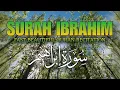Download Lagu Surah Ibrahim (سورة إبراهيم) Beautiful Quran Recitation