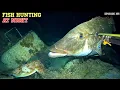 NIGHT SPEARFISHING EPISODE 155 | FISH HUNTING AT NIGHT