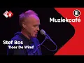 Download Lagu Stef Bos - Door De Wind | NPO Radio 2