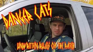 UnWritten Rules of the Patch Danger Cats