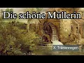Tränenregen, D.795 - Die Schone Mullerin - Score, Harmonic Analysis, and Translation