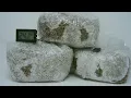 Inoculating Grain Spawn from Midwest Grow Kits - Bulk Growing Series pt 1