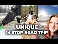 Download Lagu ROAD TRIP AROUND LAKE SIMCOE FROM TORONTO, 14 FUN STOPS, TO DO ANYTIME OF THE YEAR!