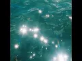 Spin