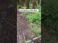 Download Lagu Bekijk de volledige video op mijn kanaal!👇