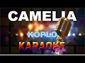 Download Lagu CAMELIA KOPLO KARAOKE