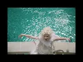CUNTISSIMO - MARINA