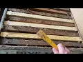 How to Checkerboard your frames