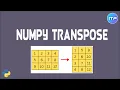 NumPy Transpose What is NumPy Transpose Python An IT Professional