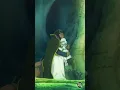 Download Lagu They are so cute 😍❤️- Sariphi and Leonhart's kiss - Sacrificial Princess and the King of Beasts