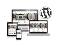 Set up you featured pages with the Customizr theme on WordPress