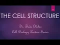 CELL STRUCTURE FUNCTIONS OF CELLULAR ORGANELLES