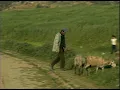 Morocco music ensemble