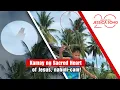 Download Lagu Kamay ng Sacred Heart of Jesus, nahuli-cam! | Kapuso Mo, Jessica Soho
