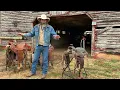 Buying a New Saddle For Work - Part 1