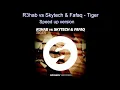 R3hab vs Skytech & Fafaq - Tiger (Speed up)
