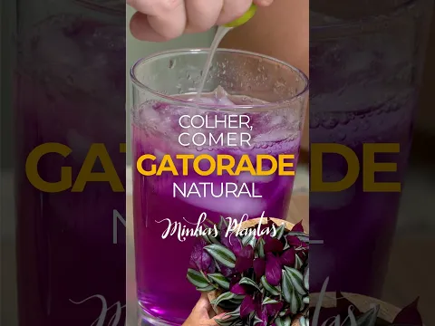 Gatorade caseiro – série Colher, Comer