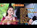 Download Lagu TARLING TENGDUNG INDRAMAYU CIREBONAN BIKIN ADEM CINTA NING LAMUNAN