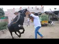 Download Lagu Kothapet Thota Mahesh Yadav Anna sadar 2021