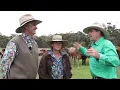 What Makes This Farm's Grazing So Special?