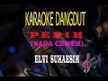 Download Lagu Karaoke Perih Nada Cewek - Elvi Sukaesih (Karaoke Dangdut Tanpa Vocal)