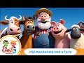 Old MacDonald Had A Farm 🐄🐔 | Classic Animal Song for Kids | Candy Heroes