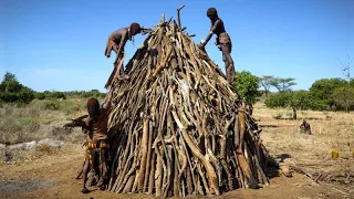 A House from Forest Sticks - Full Build - Hamer of Ethiopia