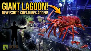 I Added New Exotic Creatures Into My Giant Lagoon Vivarium (Lobster, Sea Urchin, Shrimp, Crabs)