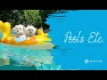 Pools Etc - Pool Cleaners Menlo Park CA Pool Cleaning Bay Area Pool Cleaning Pool Repair